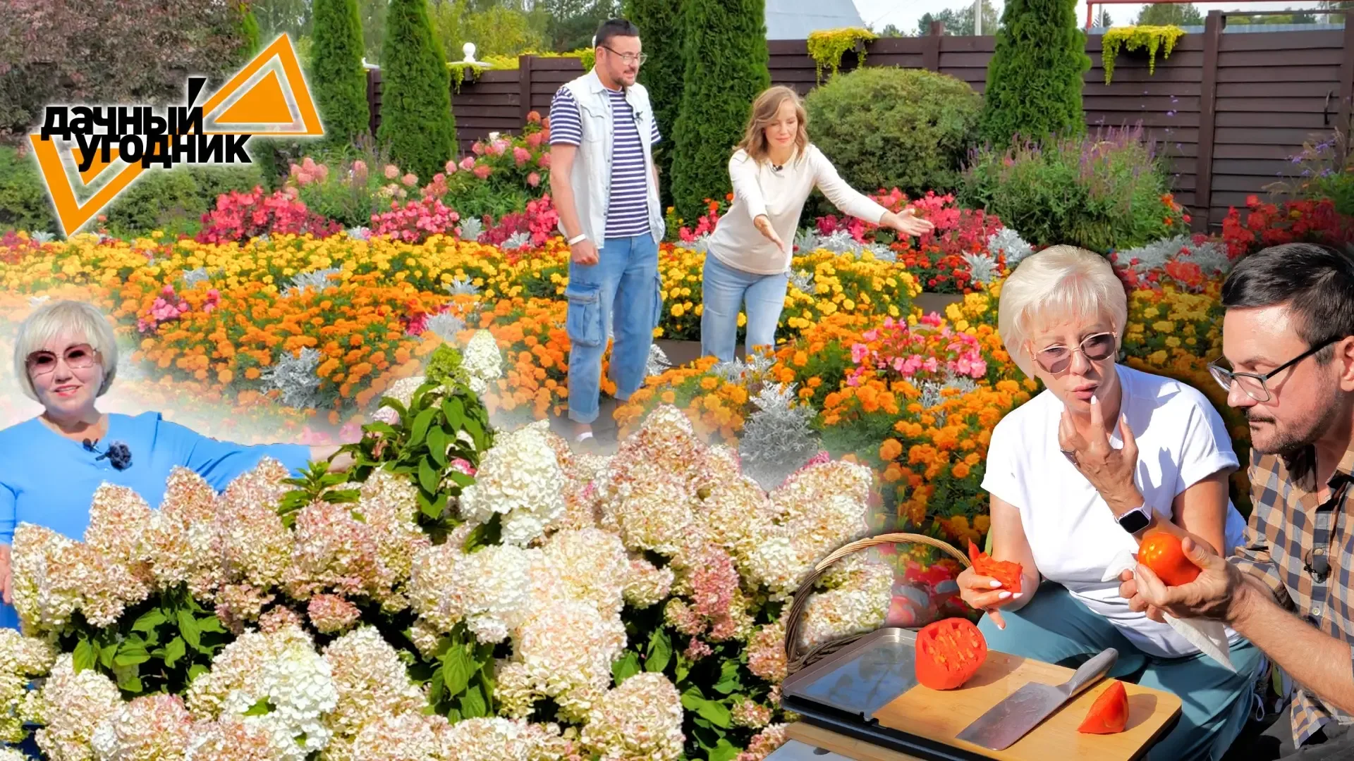 Томаты/жимолость/вершинная гниль/красивый сад и море цветов 🌺🌼  - Высаживаю томаты в открытый грунт 