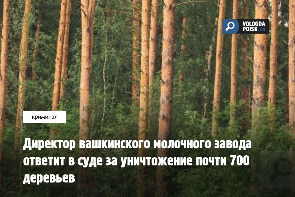 В Вашкинском районном суде приступили к рассмотрению уголовного дела против 42-летнего жителя села Л