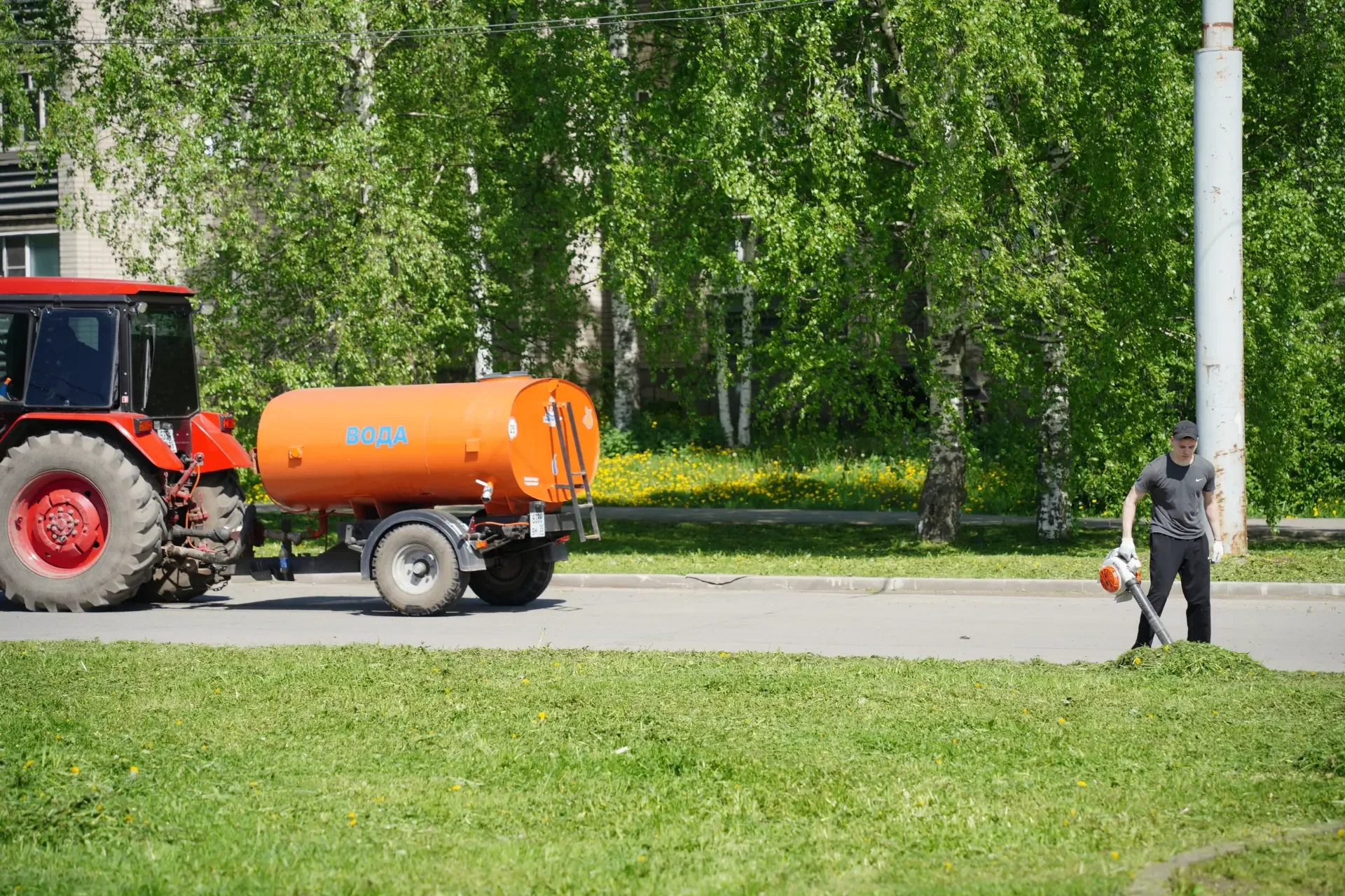 Покосы и уборка скошенной травы активно проходят в Вологде. По словам городских властей с начала сез