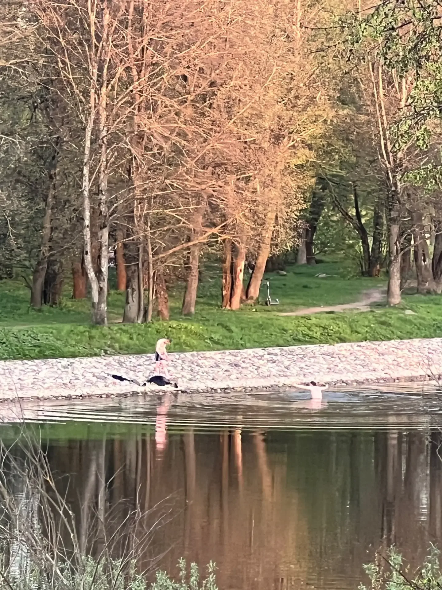 Оптимистично настроенные вологжане открыли купальный сезон)  Фото портала "Вологда-Поиск"  Больше но
