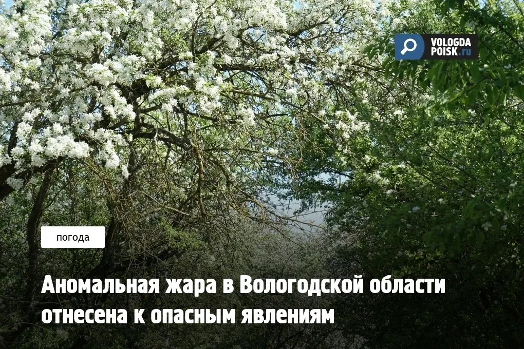 В Вологодской области установилась необычно теплая для данного времени года погода. По данным синопт