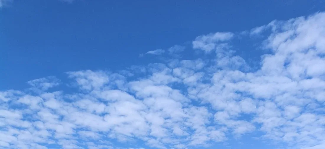 Повышение температуры и первые грозы ожидаются в Вологодской области 🌤️  Территория региона оказалас