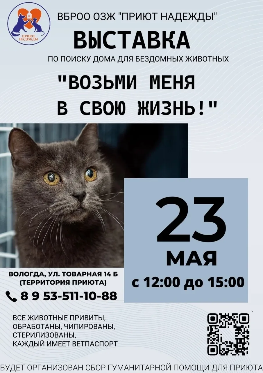 Выставка бездомных животных «Возьми меня в свою жизнь» пройдёт в Вологде 🙏  23 мая с 12:00 до 15:00 