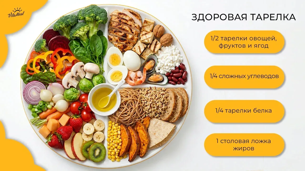 🍽 Принцип здоровой тарелки: как питаться сбалансированно без сложных схем (1/3)  Здоровое питание — 
