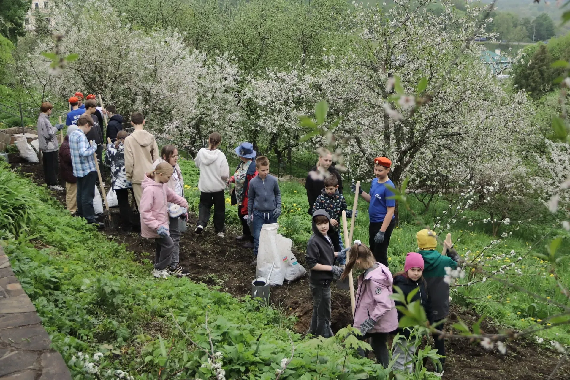 Несколько фотовпечатлений от городского марафона «Возродим Владимирскую вишню!»