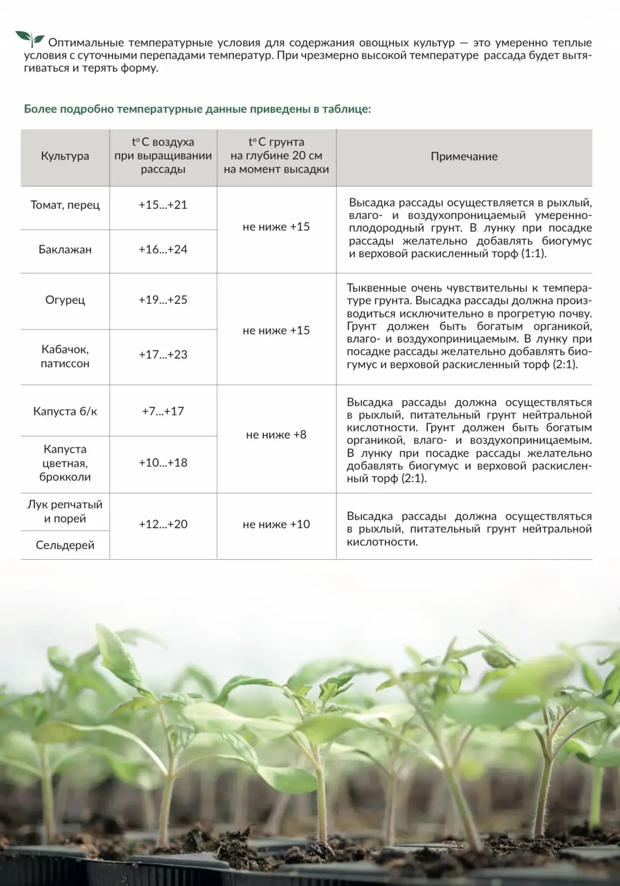 Вы просили — мы сделали! 🌱  Ловите подробный гайд по уходу за овощной и цветочной рассадой 🌸🥬  Мы по