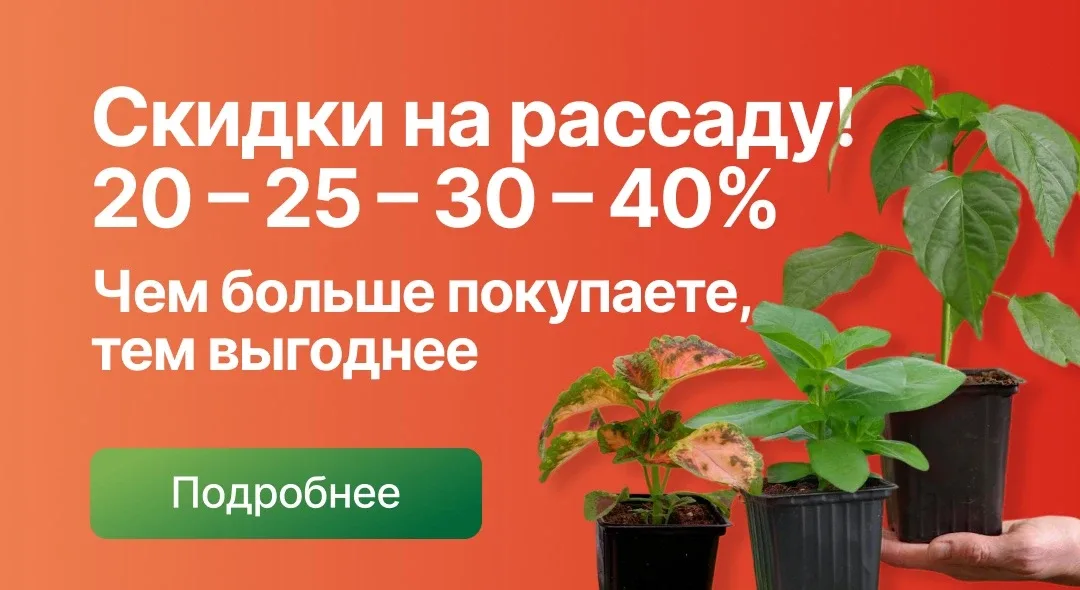 🌱 ЧЕМ БОЛЬШЕ РАССАДЫ — ТЕМ ВЫГОДНЕЕ!  В Агрофирме Партнер стартовали ПРОГРЕССИРУЮЩИЕ СКИДКИ на расса