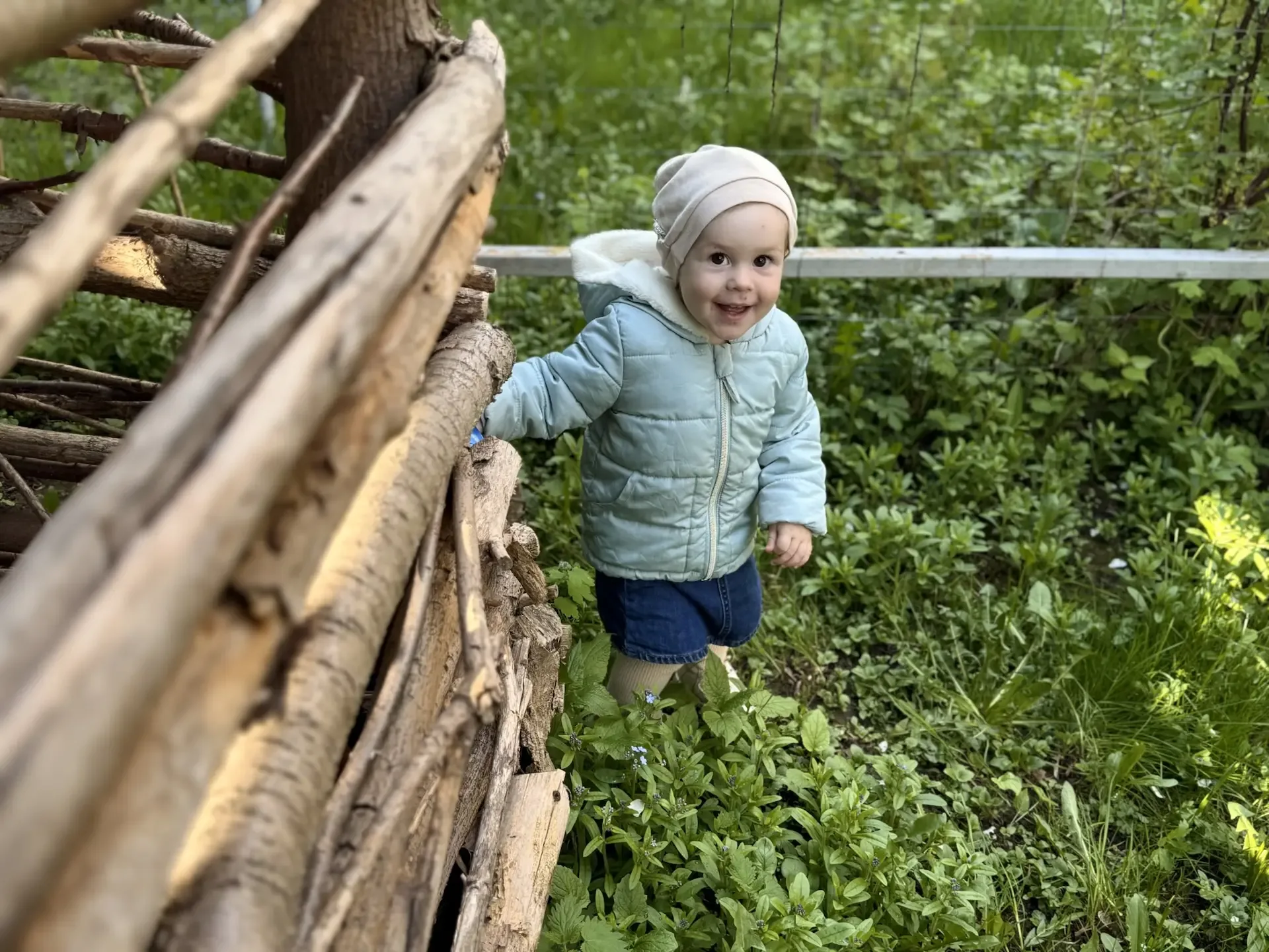 Цветы жизни ♥️