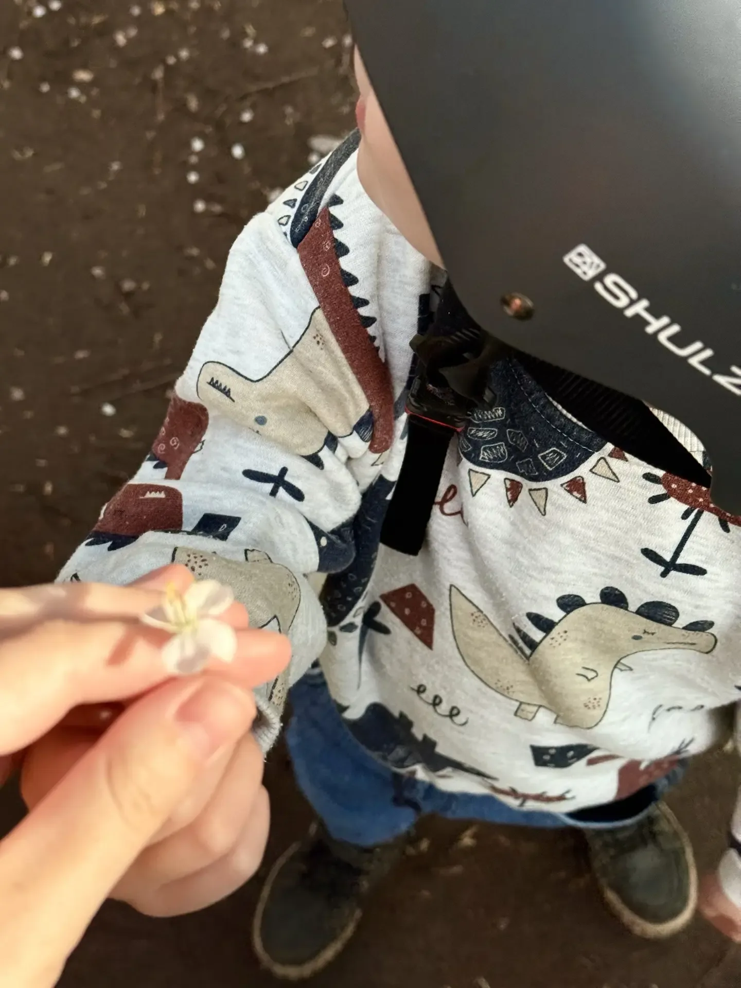 Цветы жизни ♥️