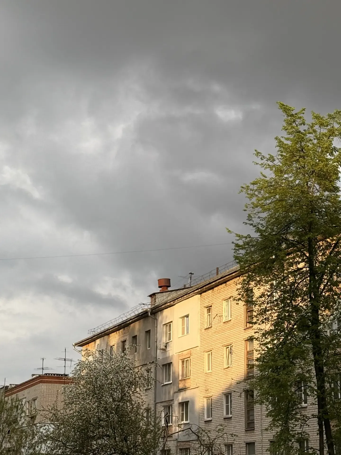 За окном собирался дождь, доносились звуки грома, мелькала молния, а я лежу в тотальном расслаблении