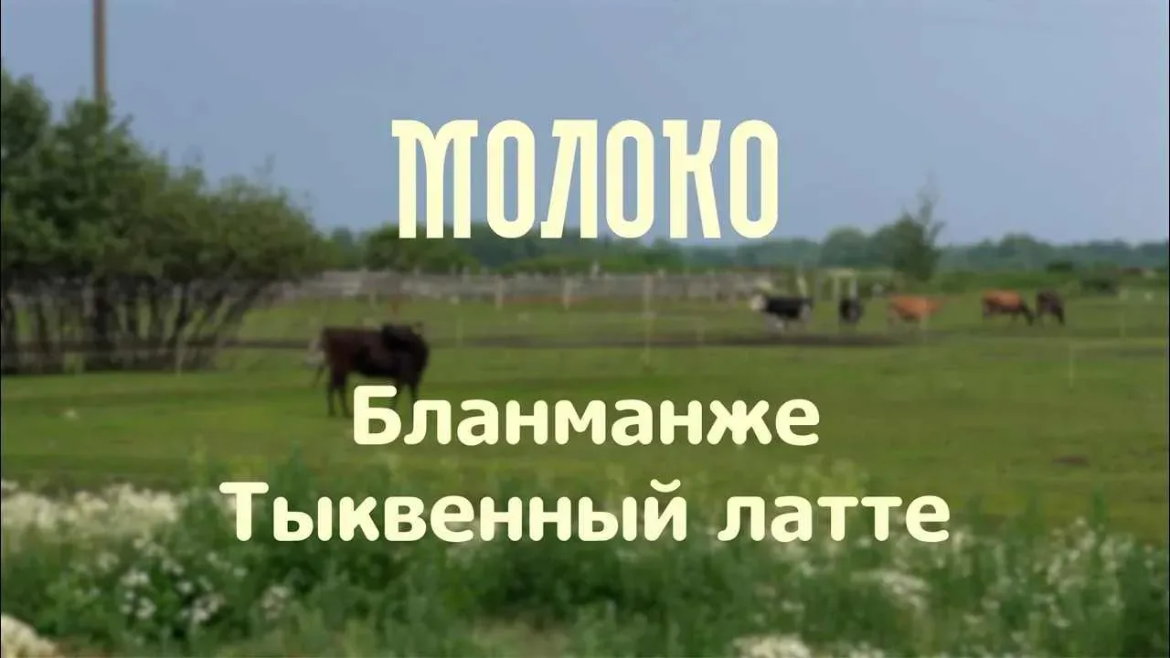 Продолжаем путешествие по молочной реке.  Бланманже. Тыквенный латте | проект «Молоко»  В этом выпус