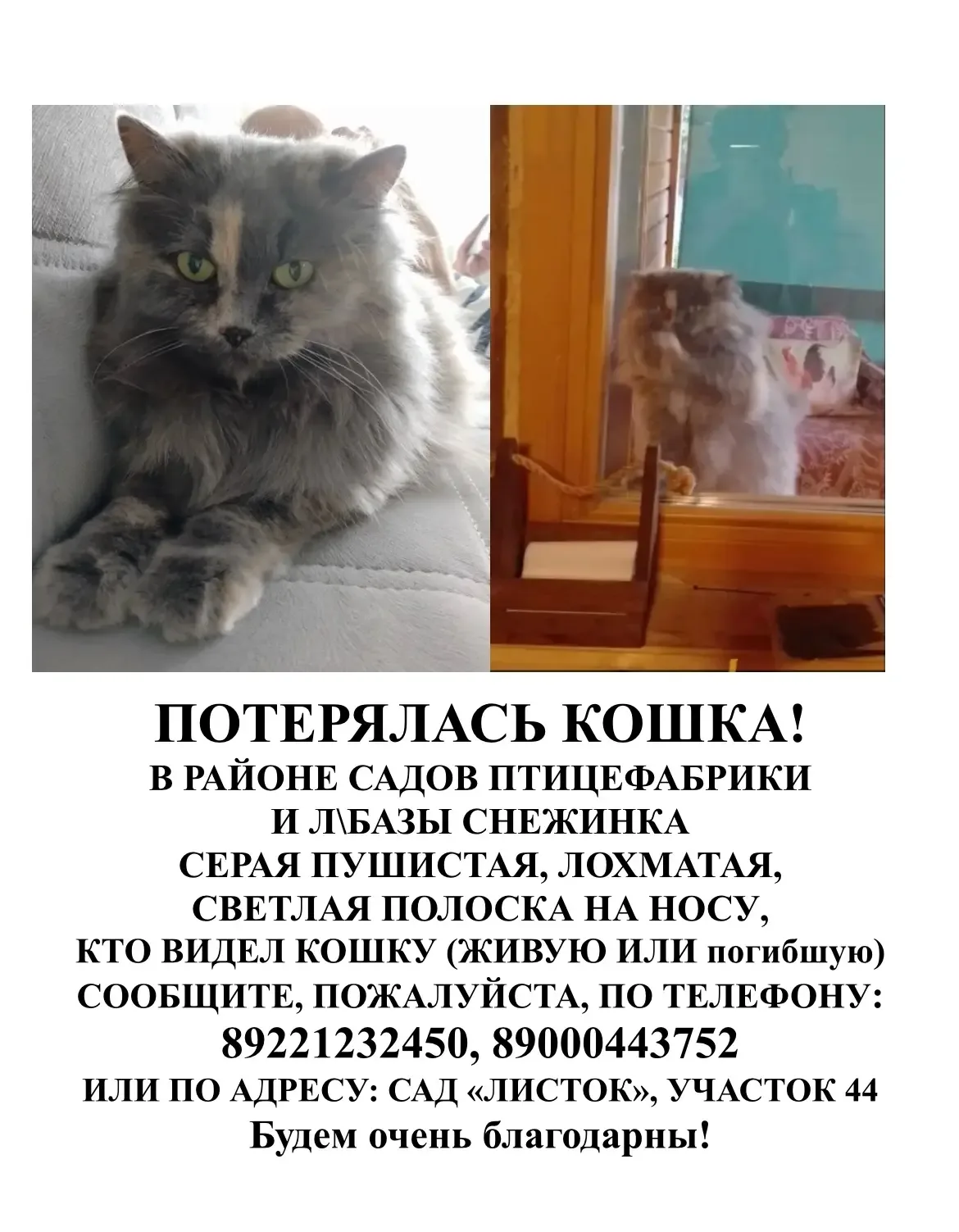 От подписчика:
