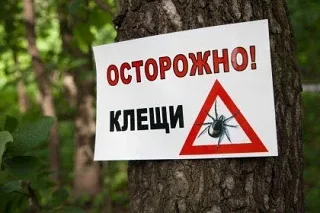 📊 Свердловская область вошла в топ регионов по риску заражения клещевым энцефалитом  Роспотребнадзор