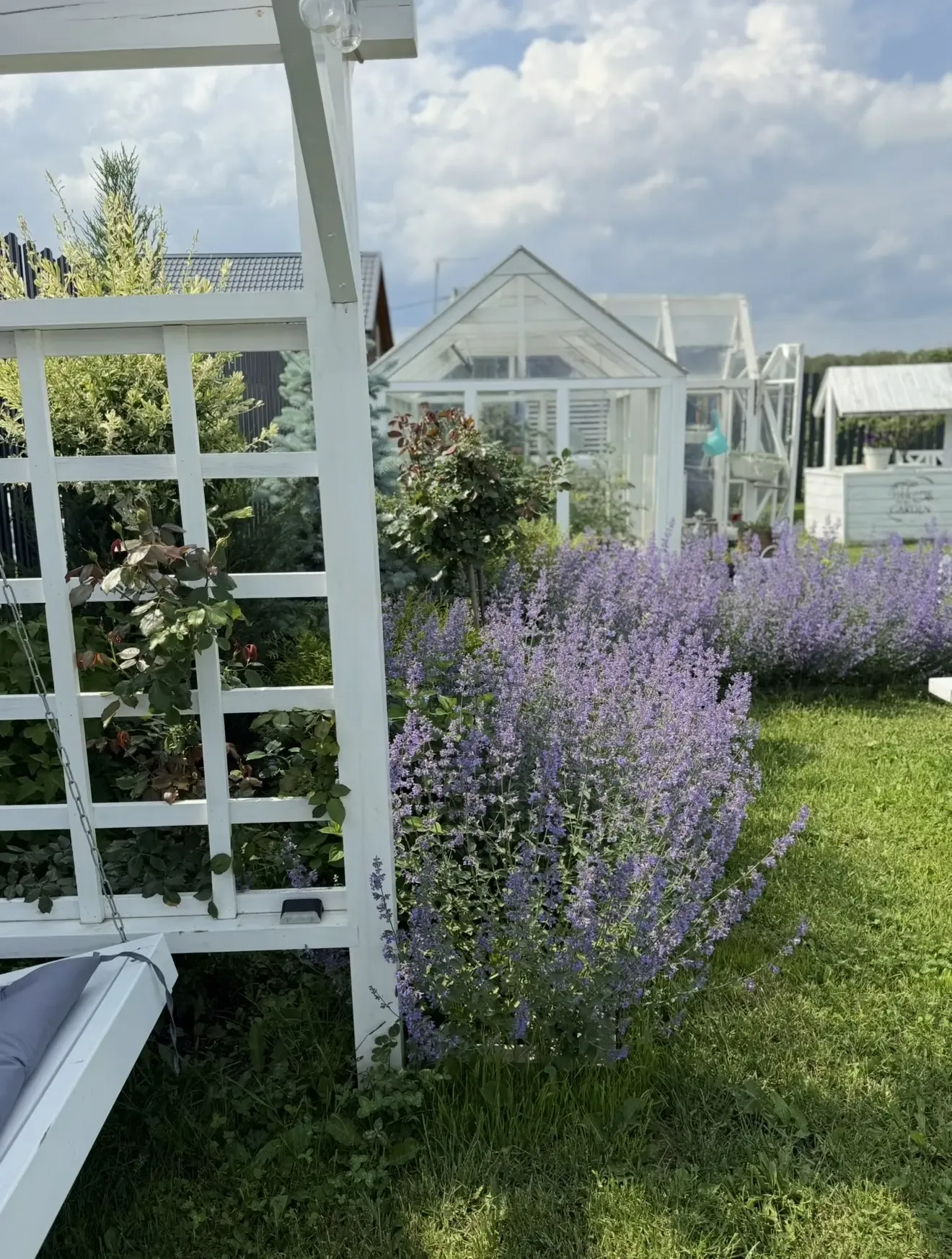 Если бы я начинала всё заново, то обязательно посадила бы котовник.  Для меня это одно из самых бесп