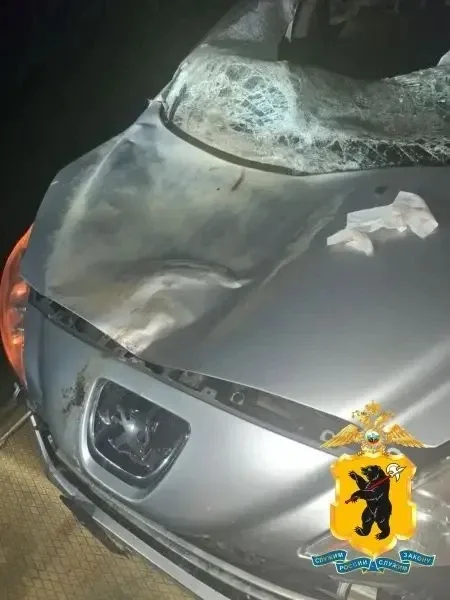 🦌🚗 Под Тутаевом иномарка сбила лося  🚨 Авария случилась 20 мая около 21:40 на трассе «Ярославль – Ры