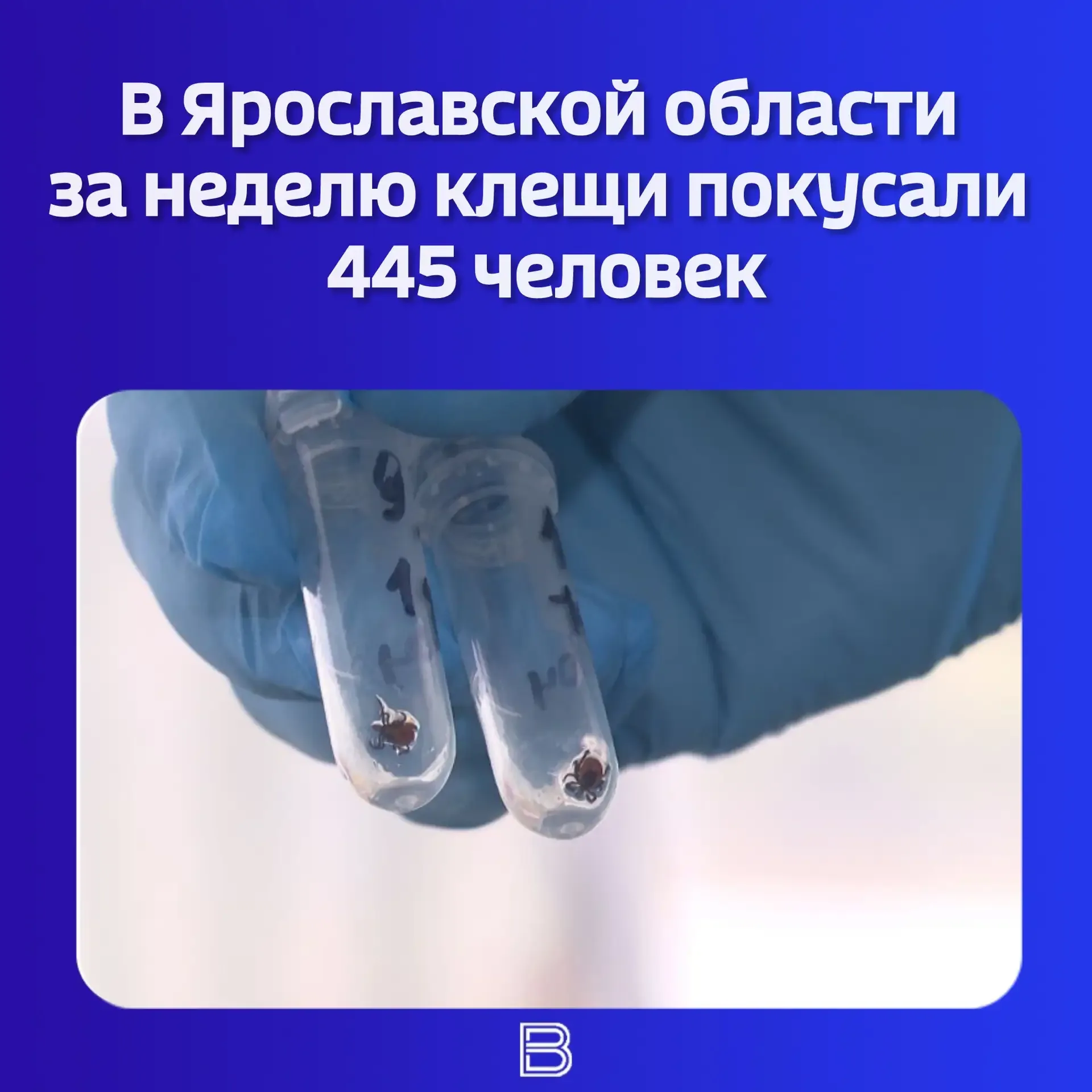🕷⚠️ Статистику за период с 4 по 10 мая опубликовал региональный Роспотребнадзор.  👶🏻 Среди пострадав