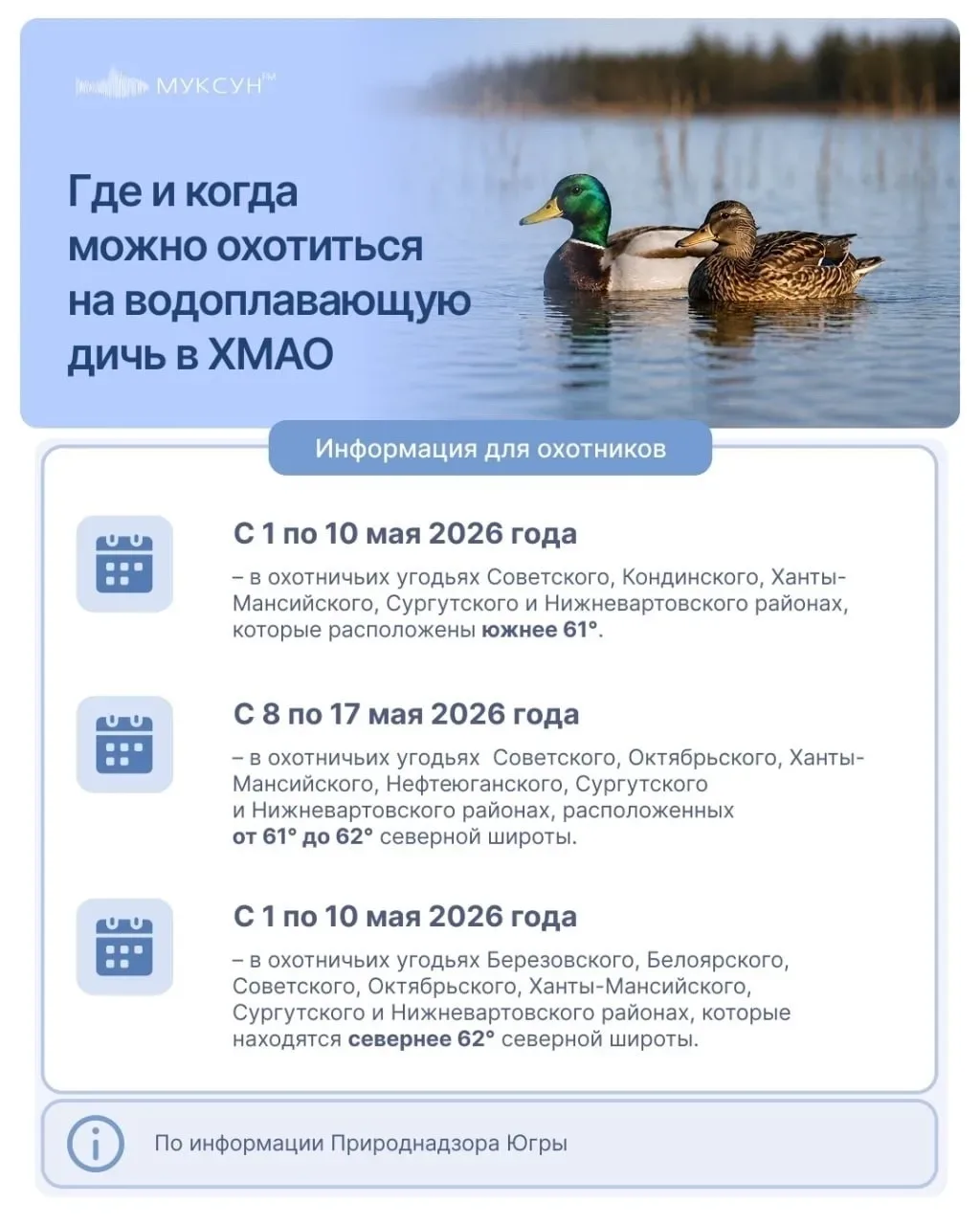 🦆Сезон весенней охоты 2026: где и когда можно охотиться на пернатых в ХМАО?  В Югре официально старт