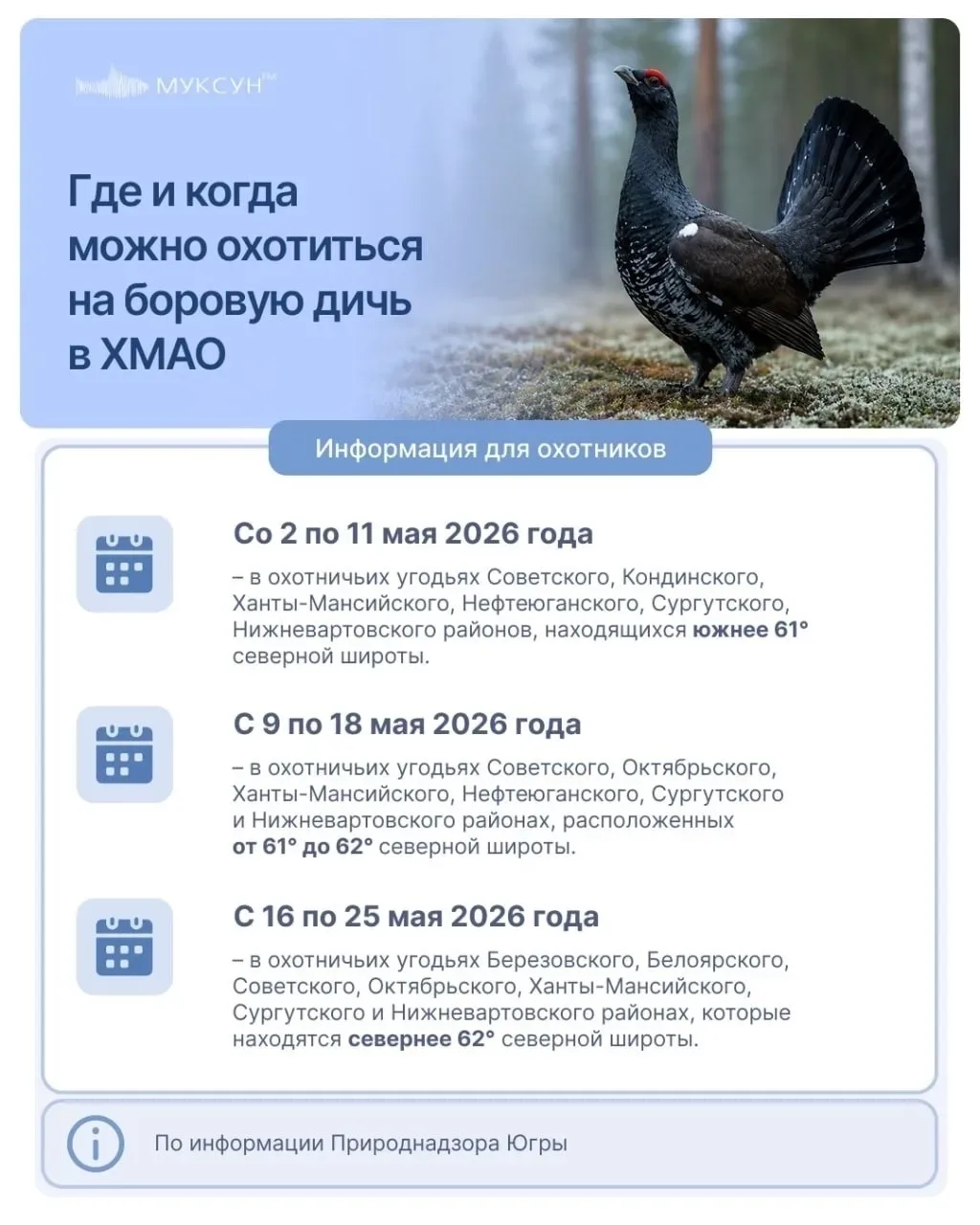🦆Сезон весенней охоты 2026: где и когда можно охотиться на пернатых в ХМАО?  В Югре официально старт