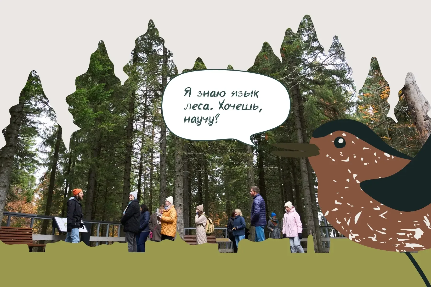 О лесных тайнах юным югорчанам в «Самаровском чугасе» расскажет птица кедровка   У школьников Ханты-
