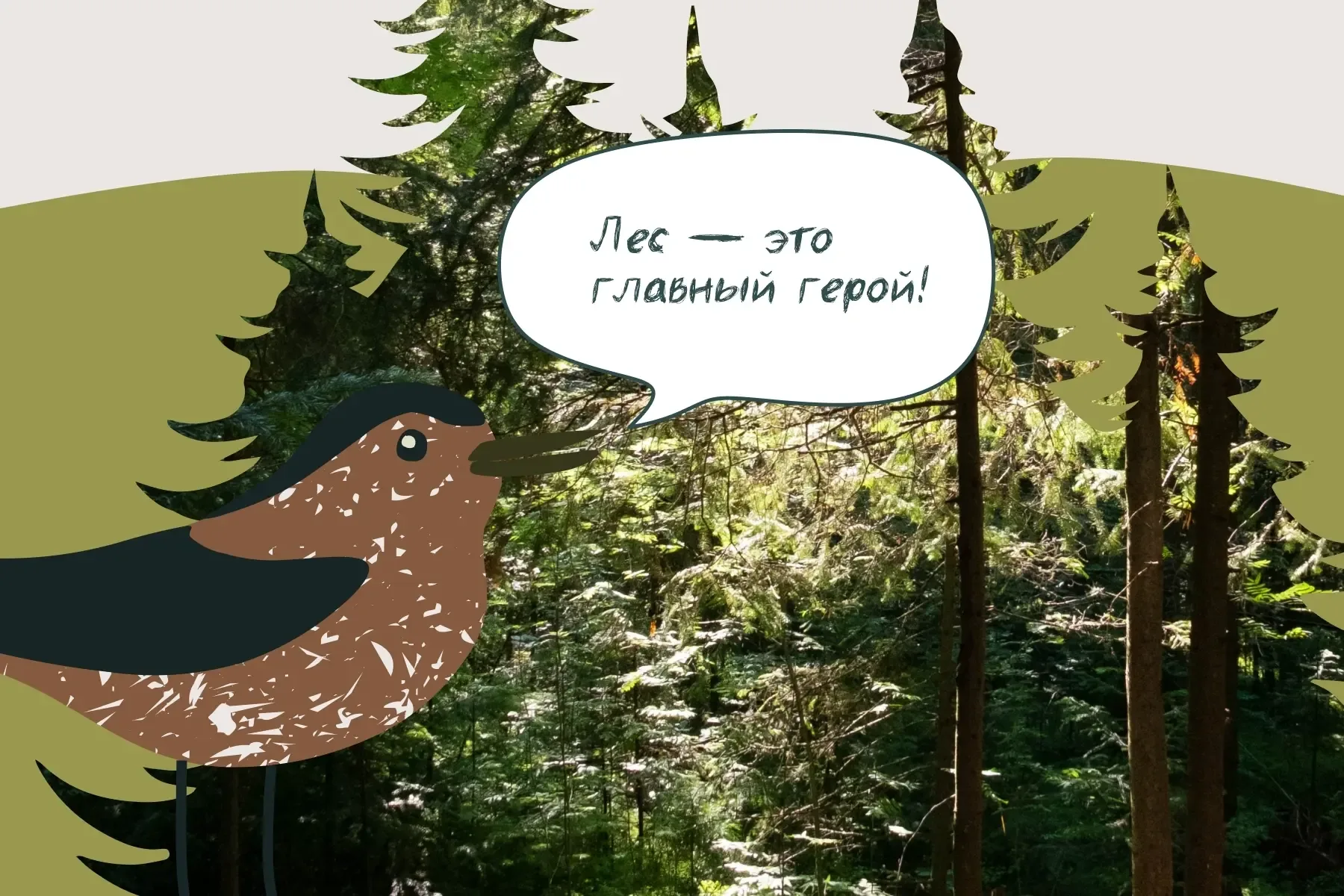 О лесных тайнах юным югорчанам в «Самаровском чугасе» расскажет птица кедровка   У школьников Ханты-