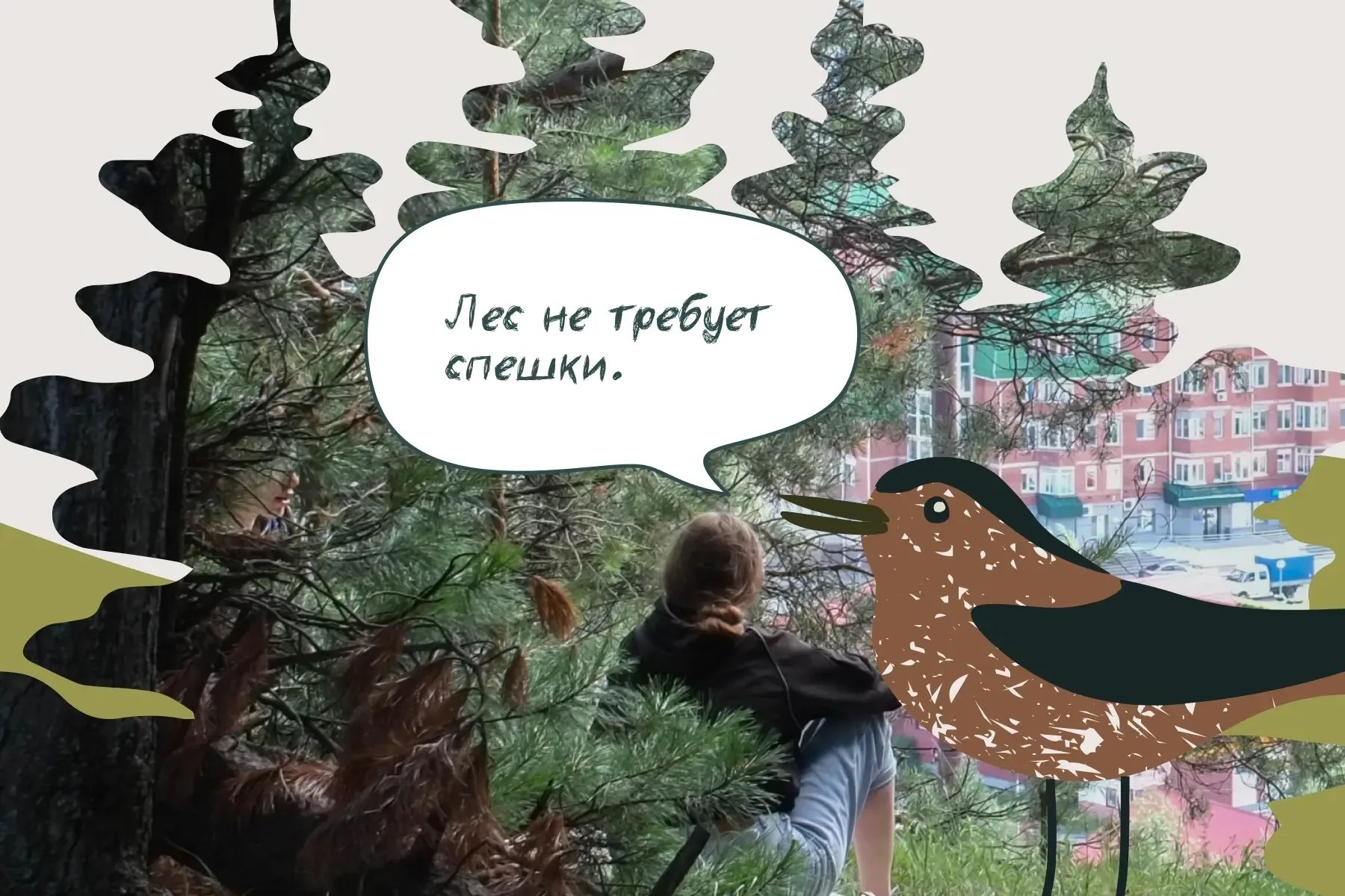 О лесных тайнах юным югорчанам в «Самаровском чугасе» расскажет птица кедровка   У школьников Ханты-