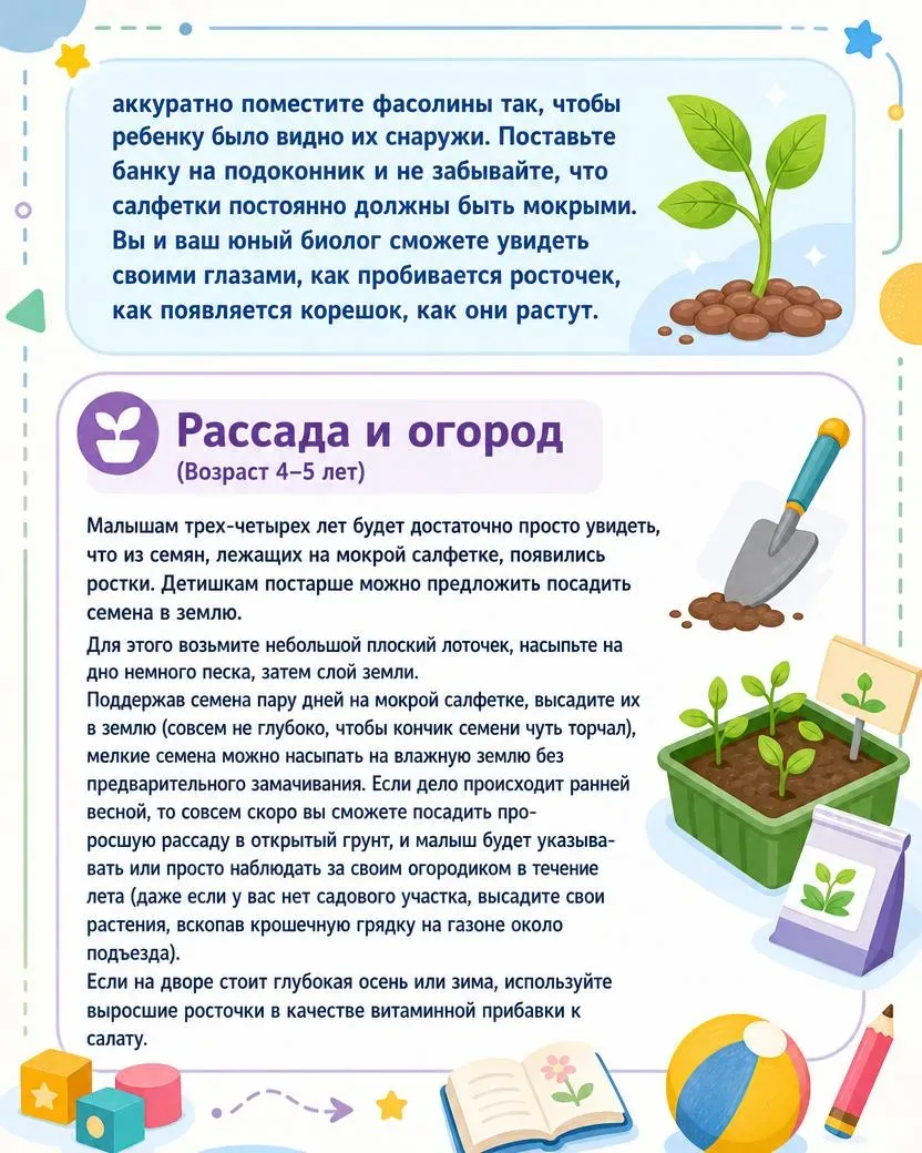🌱 Как растут растения? Экологические игры для дошкольников  В посте — яркие картинки для занятий, а 