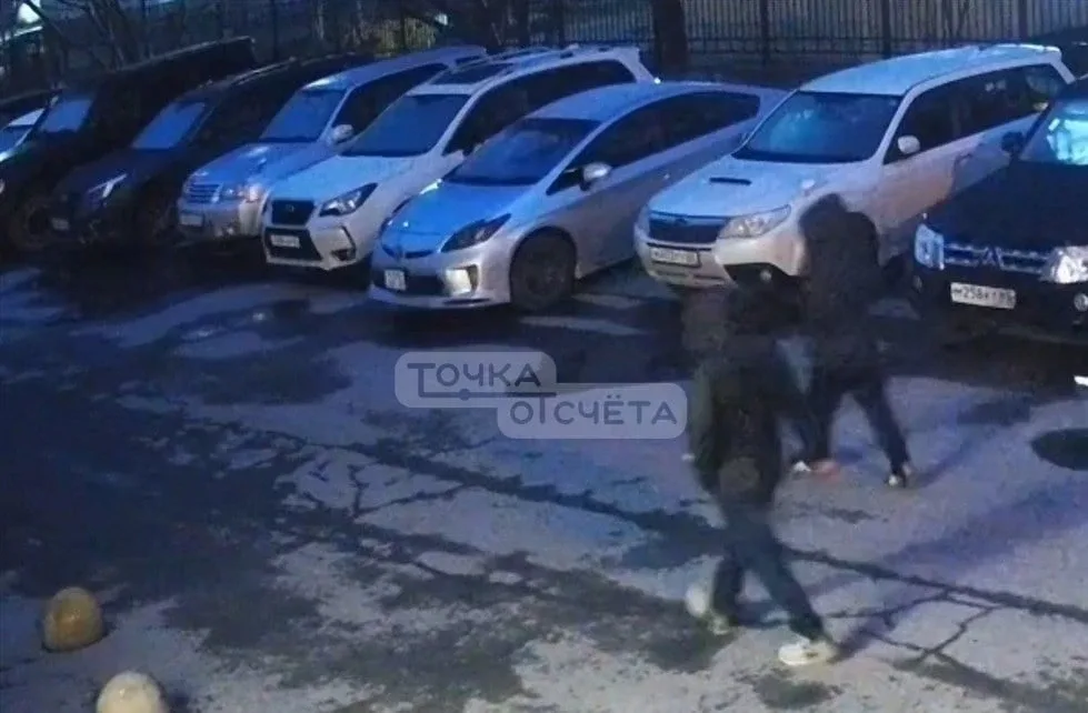 ❗"Кража по объявлению": полиция в Южно-Сахалинске задержала тех, кто стащил зеркала с "Лексуса"  Пол