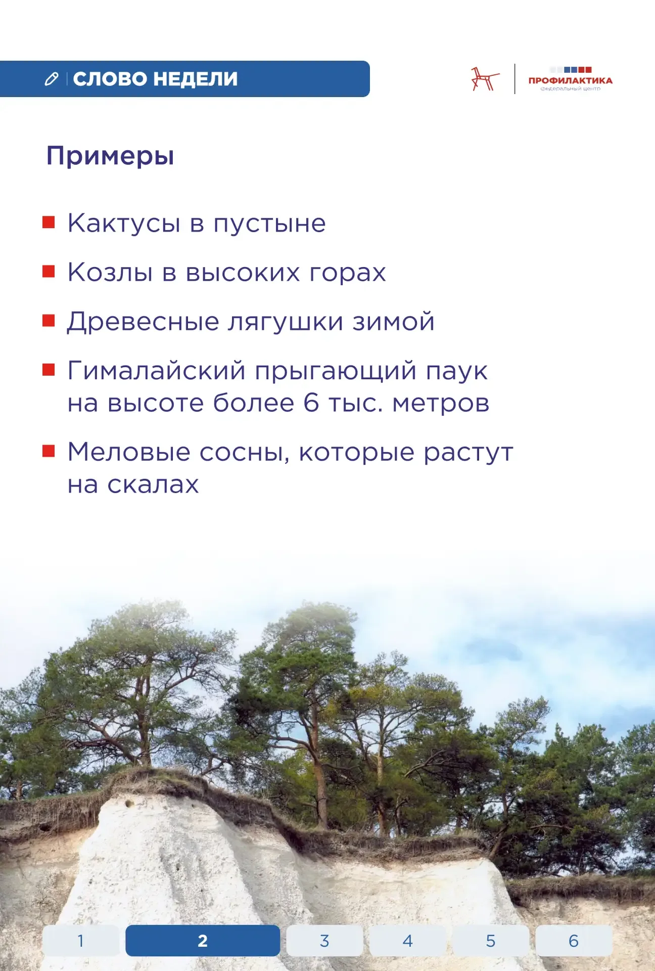 🪶  Слово недели: «стойкость»  Стойкость — это способность сохранять самообладание и целеустремлённос