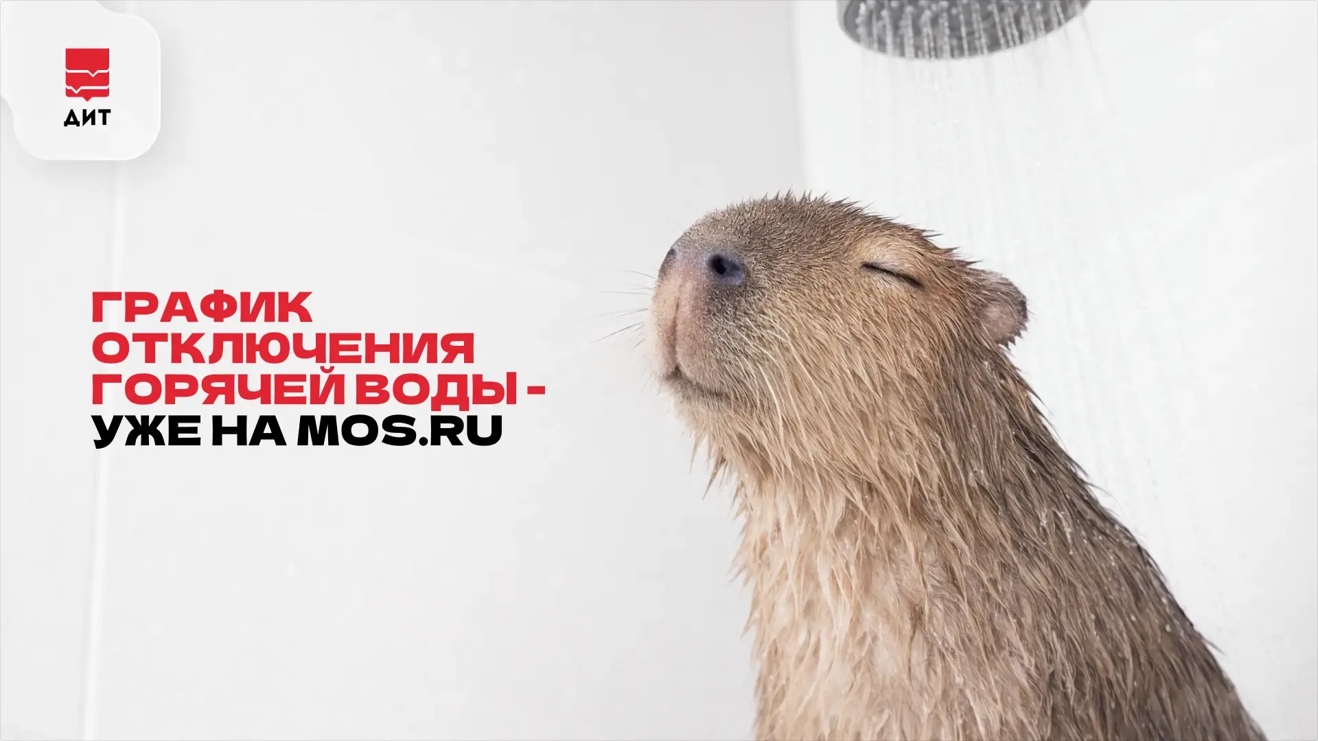 💧График отключения горячей воды — на mos.ru  Ежегодные профилактические работы в столице проводят, ч
