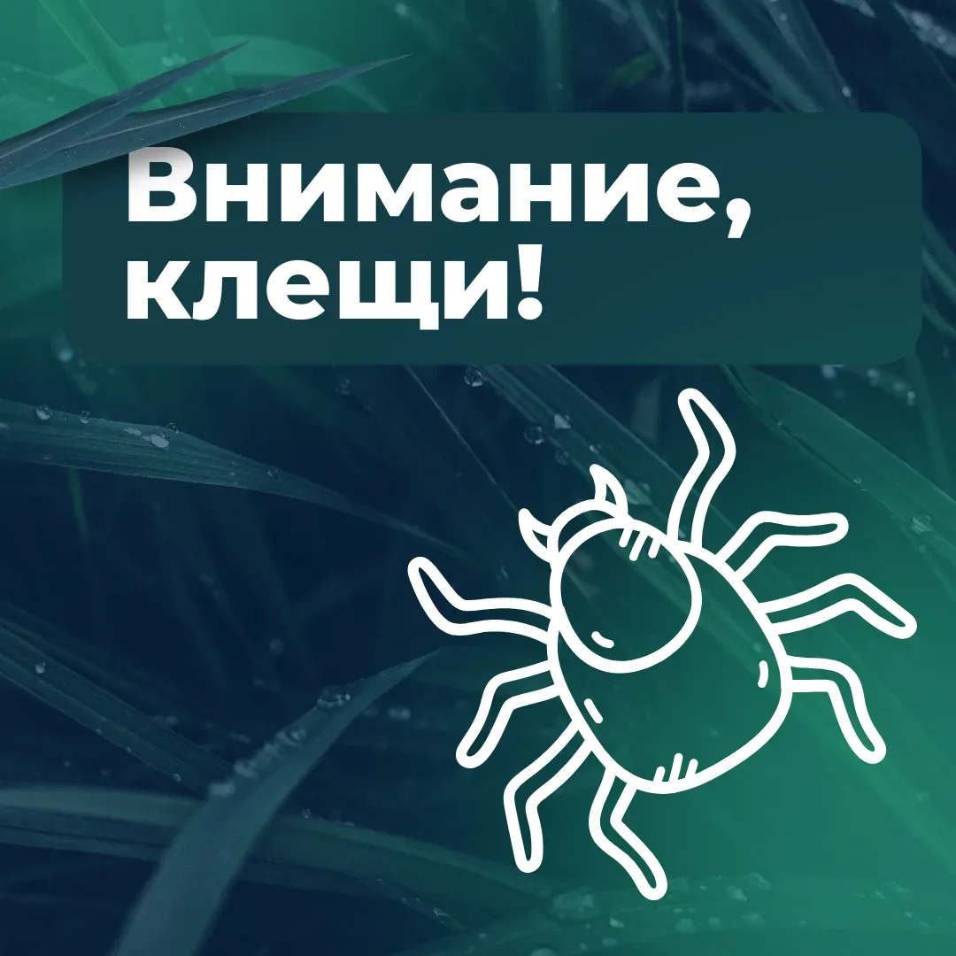 ⚠️ Осторожно: клещи! Меры профилактики и безопасности  С наступлением тёплой погоды активизируются и