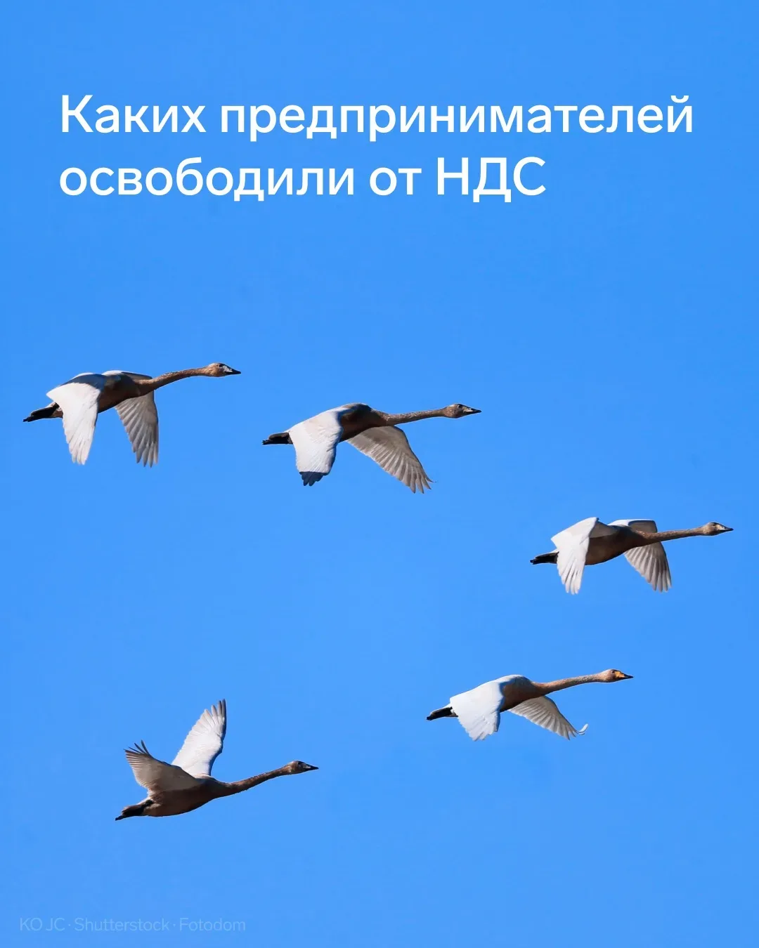 ⚡️ Часть бизнеса освободили от НДС, перейти на УСН можно «задним числом»   Правительство разработало