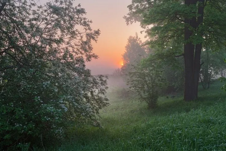 Волшебных снов!