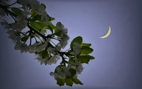 Волшебных снов! ✨