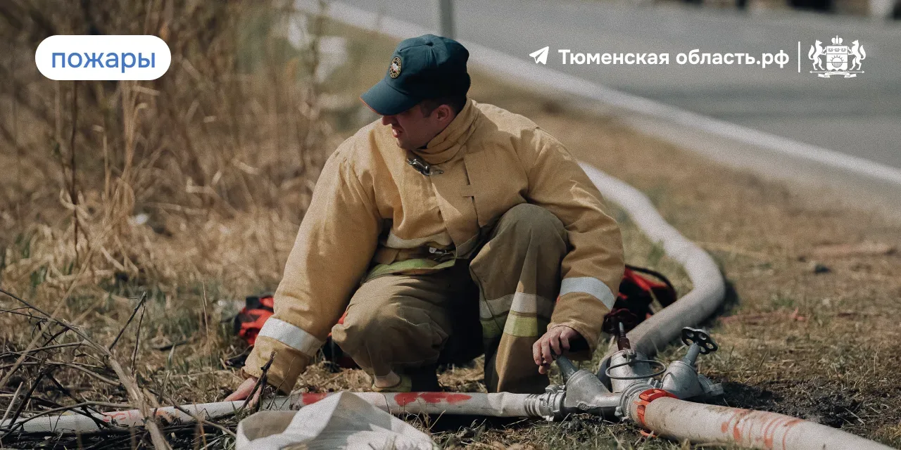 🌲В Тюменской области 93 жителя нарушили пожарную безопасность в лесу  За минувшие сутки произошел од