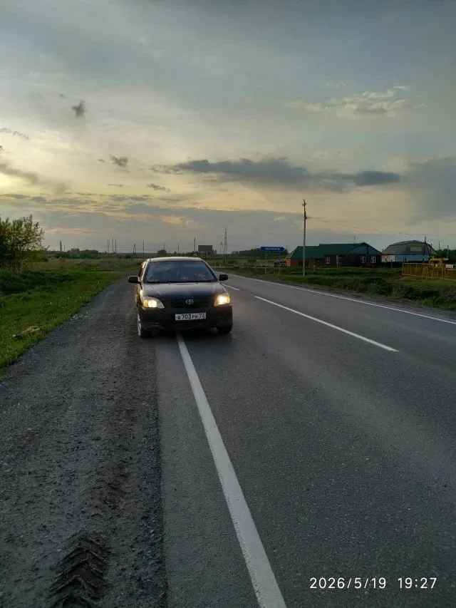 😱 В Ишимском округе неизвестный застрелил собаку  Инцидент произошел вечером 19 мая на 1-м километре