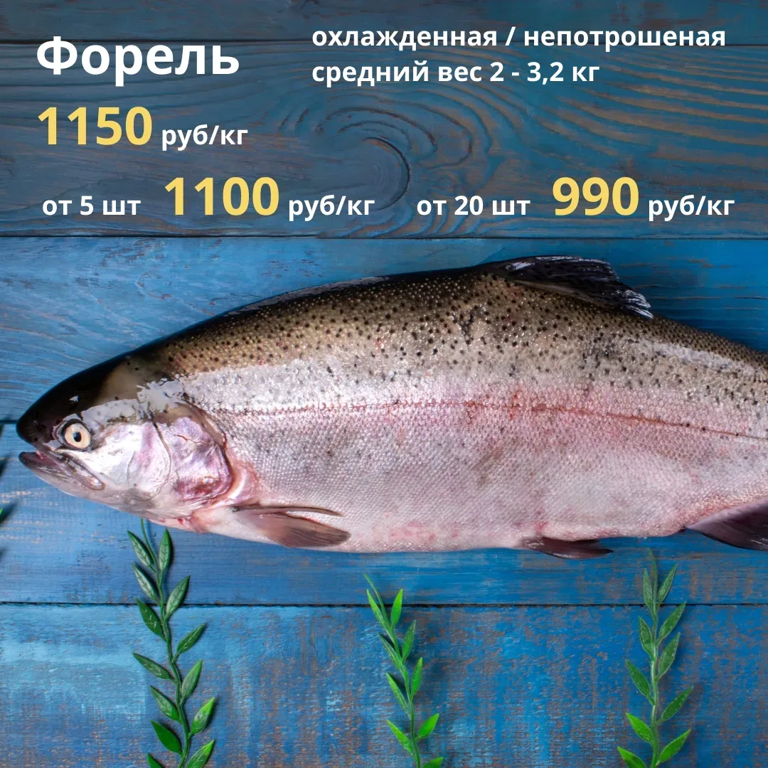 ПРИНИМАЕМ ЗАКАЗЫ НА 14-15 МАЯ  💫 Акция на ФОРЕЛЬ продолжается - 990 руб/кг при заказе от 20 штук; 💫 