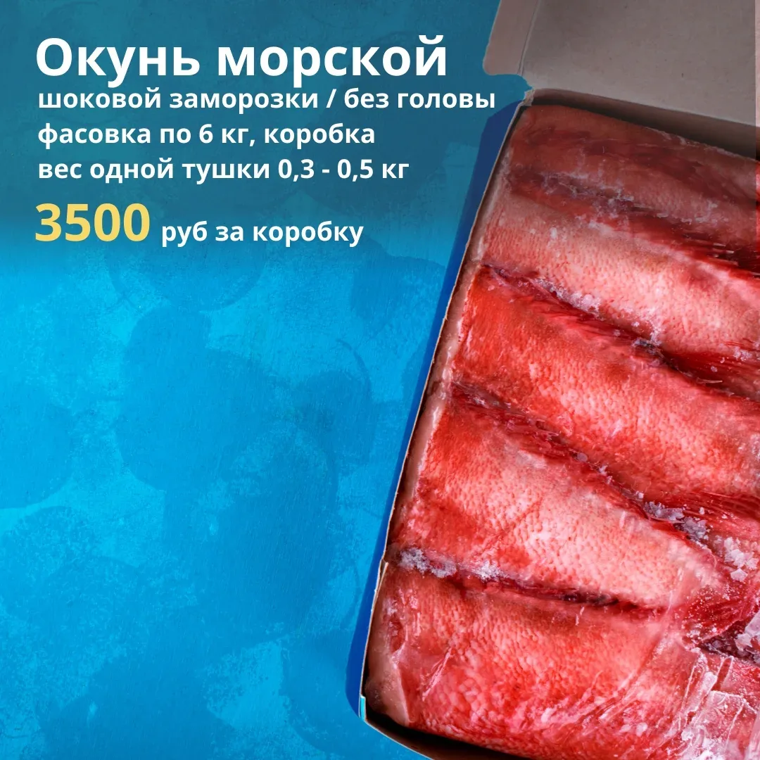 ПРИНИМАЕМ ЗАКАЗЫ НА 14-15 МАЯ  💫 Акция на ФОРЕЛЬ продолжается - 990 руб/кг при заказе от 20 штук; 💫 