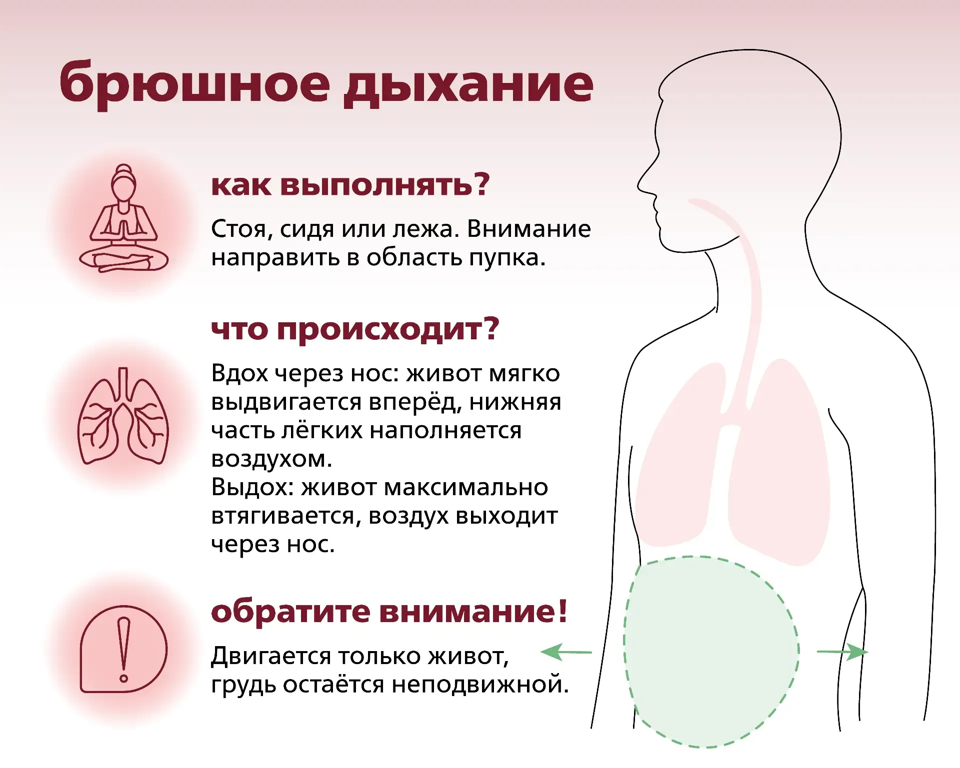 🦋Техники дыхания для здоровья и профилактики  ▫️Брюшное дыхание - расслабляет сердце - понижает высо