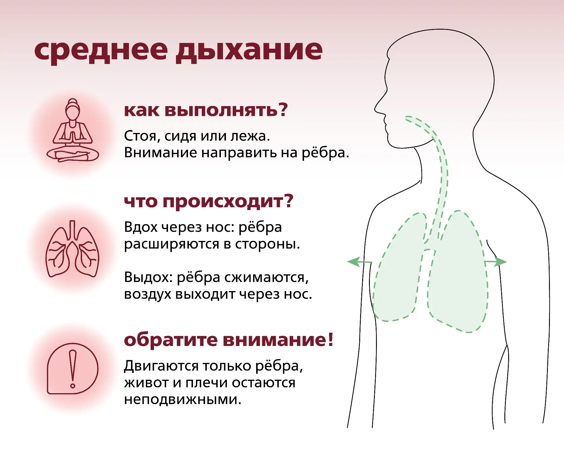 🦋Техники дыхания для здоровья и профилактики  ▫️Брюшное дыхание - расслабляет сердце - понижает высо