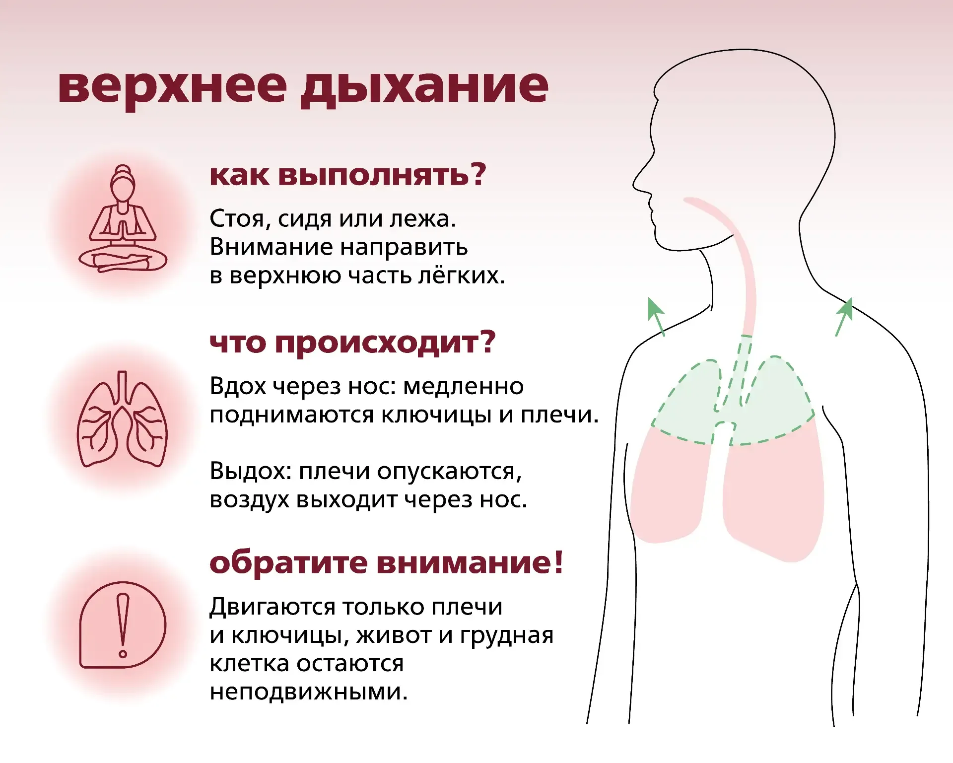 🦋Техники дыхания для здоровья и профилактики  ▫️Брюшное дыхание - расслабляет сердце - понижает высо