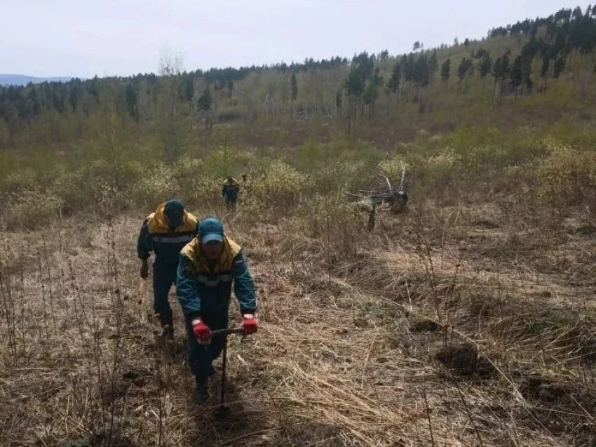 🌳 Сотрудники Карымского участка КГСАУ «Забайкаллесхоз», наряду с тушением возгораний, уделяют большо