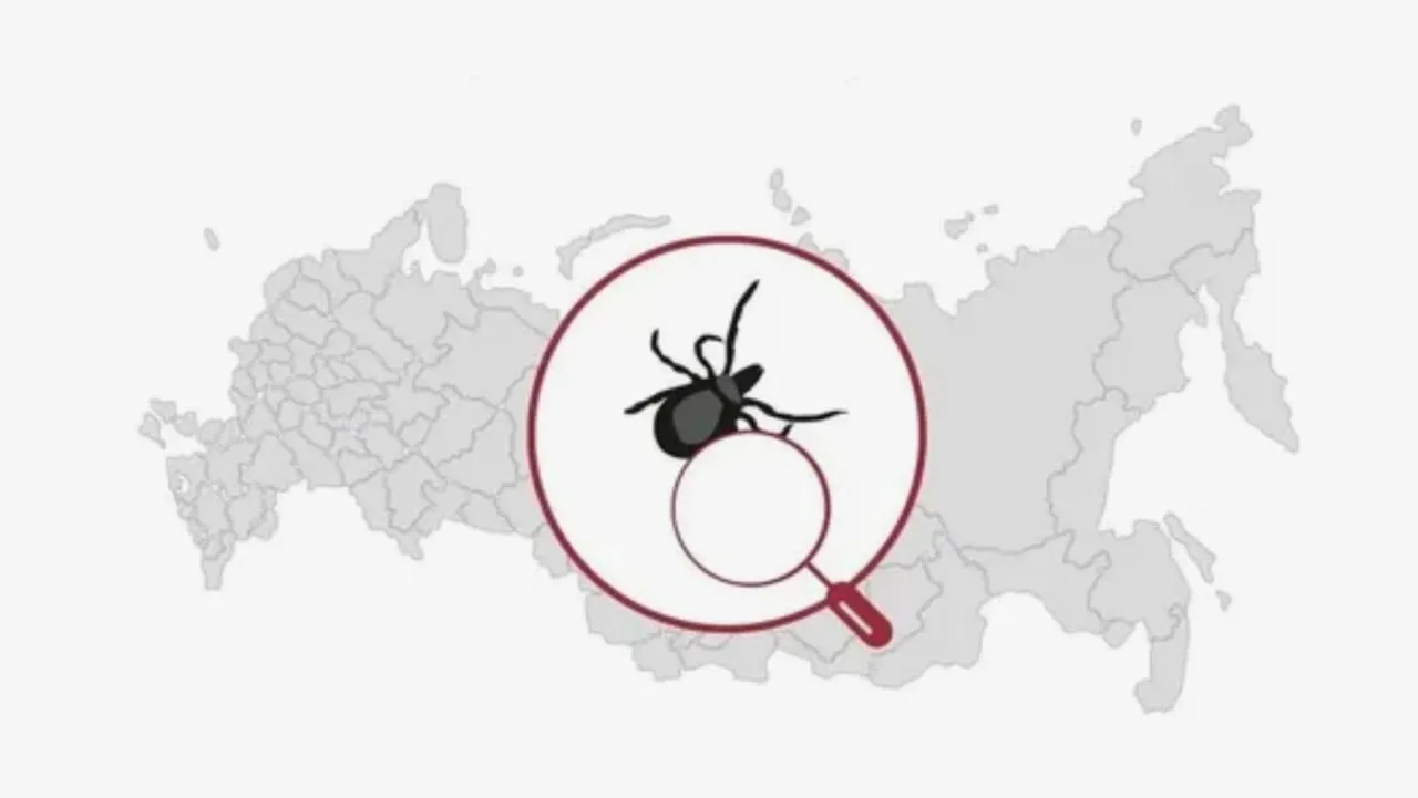 Забайкалье попало в зону риска по клещевому энцефалиту. Это означает, что риск заражения опасной инф
