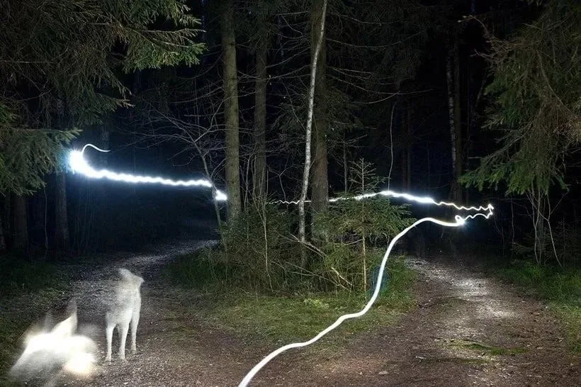🔮 В начале XX века в Чите существовало Общество исследователей паранормальных явлений. В его архиве 