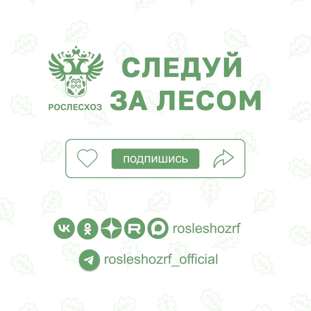 🎥 В эти #Выходные смотрим советское кино    В честь Дня Победы вспоминаем о военных подвигах и герои