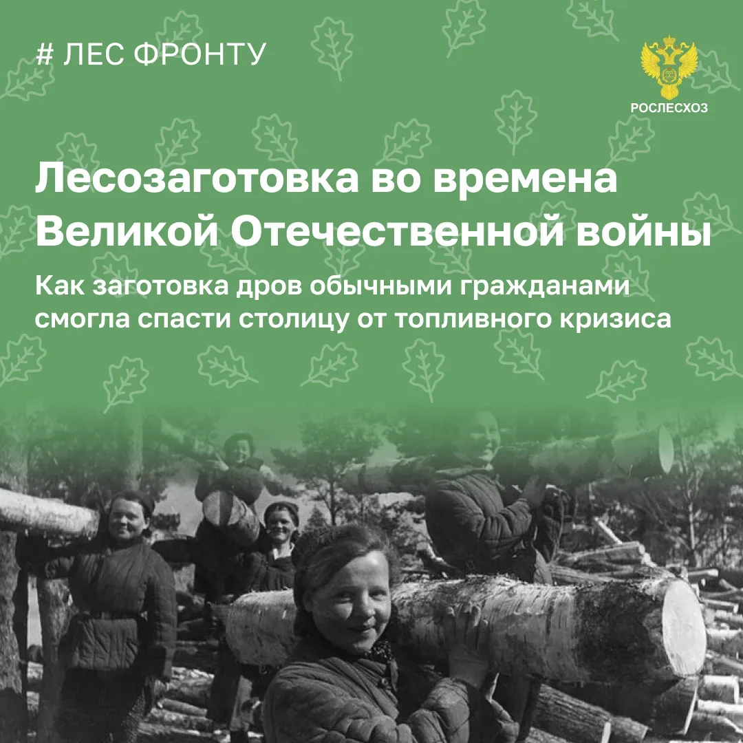 🌲 Лесозаготовители за годы войны поставили народному хозяйству 400 миллионов кубометров дров  Когда 