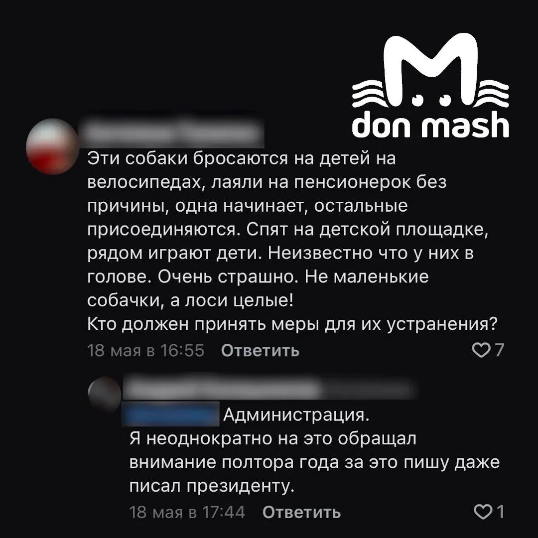 Администрация станицы Кривянской не видит ничего страшного в поведении бездомных собак, которые сбил