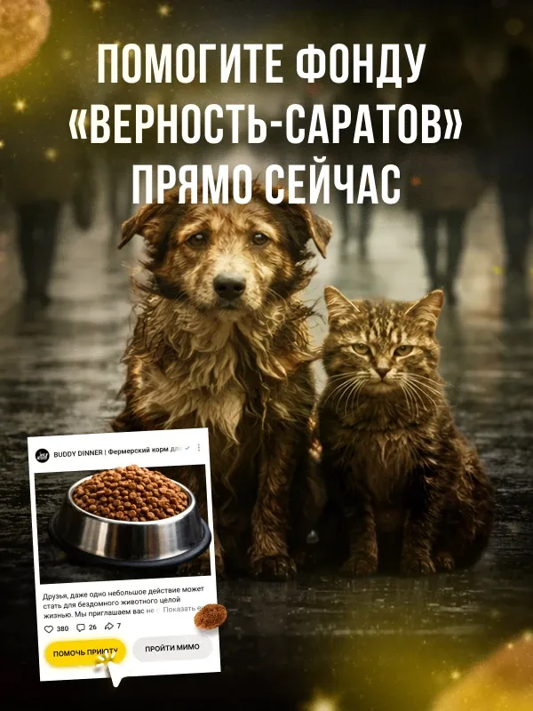 Через 7 часов заканчивается «корзина помощи» для приюта "Фонд Верность" г. Саратов. Все началось с ч