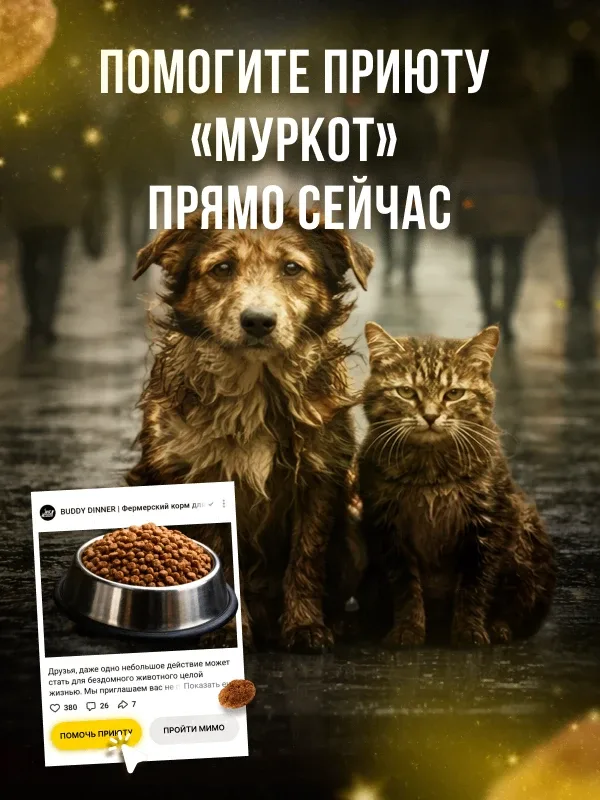 Через 20 часов заканчивается «корзина помощи» для приюта Муркот г. Пермь. Муркот — приют для кошек в