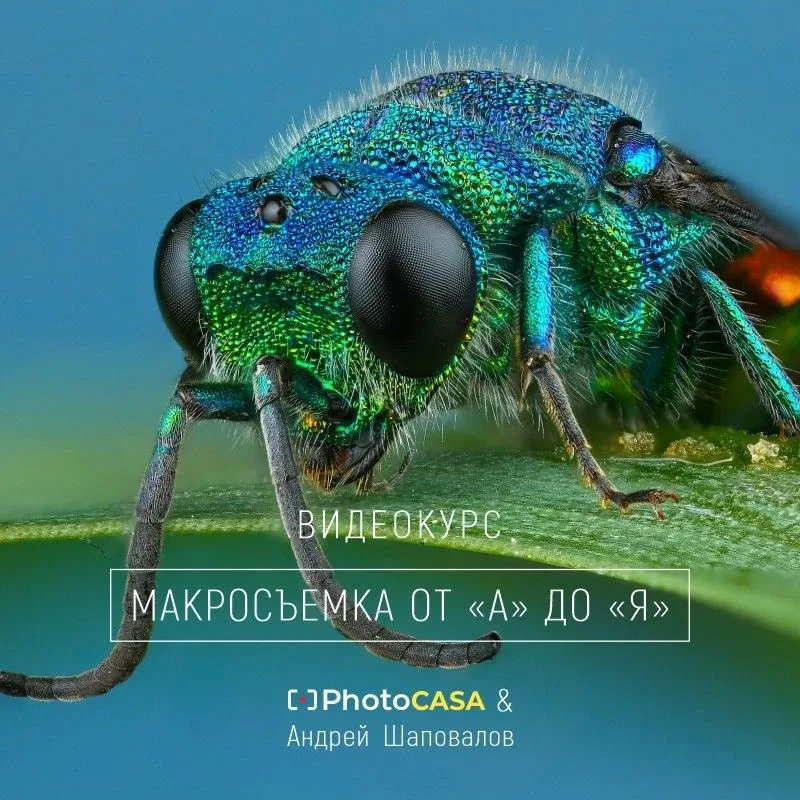 📷 Авторские видеокурсы по фотографии за 300 рублей?  Да! Это возможно! Наша большая майская распрода