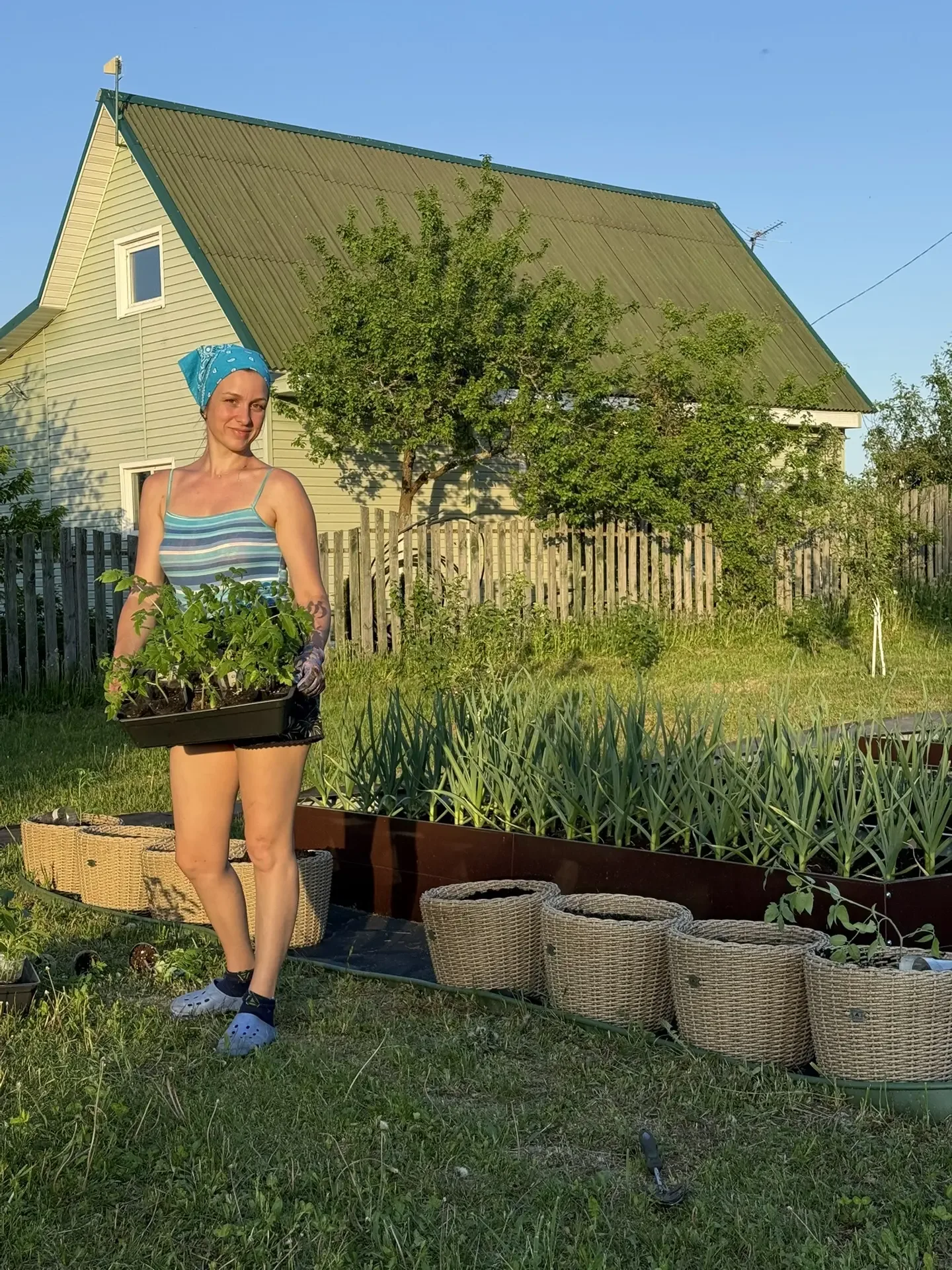 Я усе👏☺️высадила томаты в кашпо , перчик острый и бальзамины🌺🌿